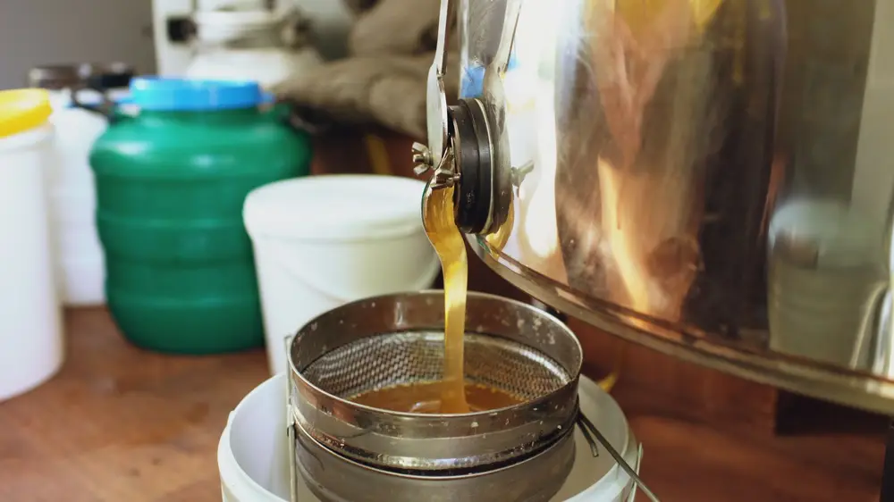 how long does whole house water filter last replacement cost USA