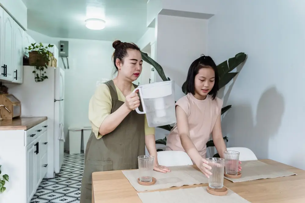 how long does whole house water filter last replacement cost USA