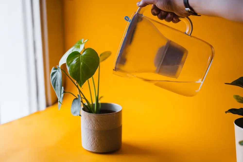 Is Reverse Osmosis Water Healthy Minerals Cost Comparison Usa Guide