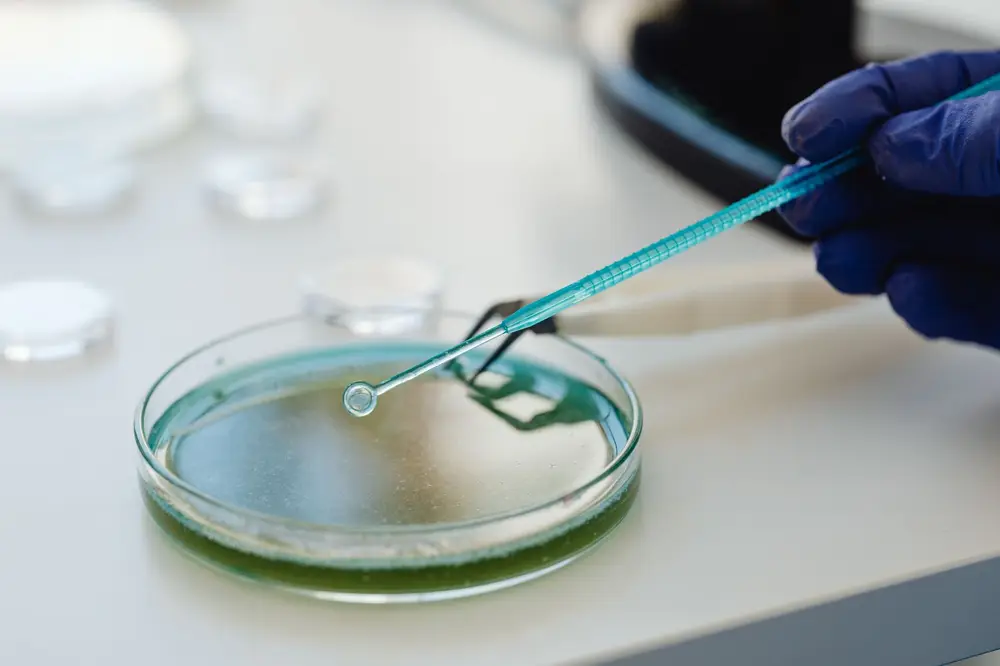 water treatment system rental vs buying cost savings USA guide